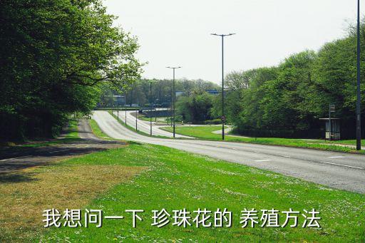 自己怎么养殖珍珠珍珠怎么养殖出来的(图1)