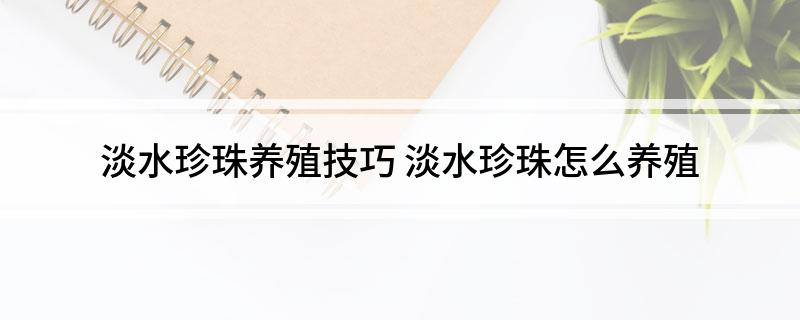 淡水珍珠养殖技巧(图1)