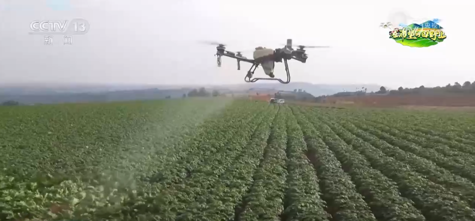 科技“点亮”希望的田野 绘就一幅幅多彩春日生产画卷(图5)