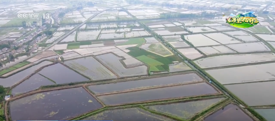 科技“点亮”希望的田野 绘就一幅幅多彩春日生产画卷(图6)