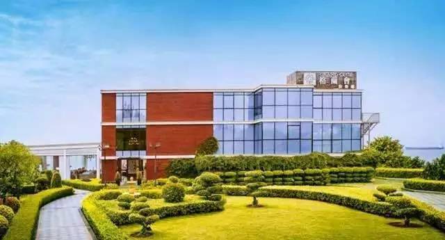 财智精英女性风尚下午茶 等待最优雅的妳(图5)