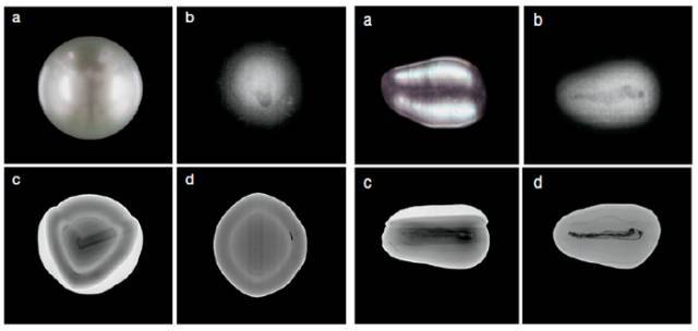 内蒙古自治区人民政府办公厅关于印发全面推进美丽内蒙古建设筑牢我国北方重要生态安全屏障规划纲要（2025—2035年）的通知(图1)