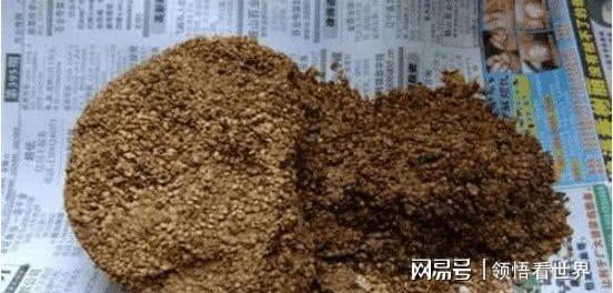 世界第一人国外专家研究数十年未果河南农民花10年成功(图8)