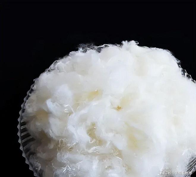 世界第一人国外专家研究数十年未果河南农民花10年成功(图22)