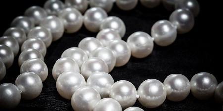 感知日照丨东港海洋：一条鱼的“链变”透视向海图强新逻辑(图1)