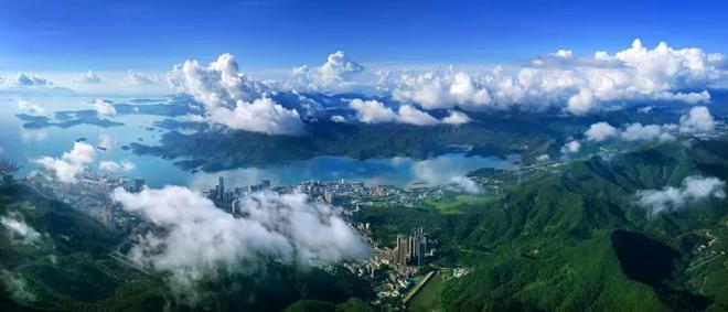 营商观察|看深圳盐田如何玩转“场景+服务+产业”新生态?(图1)