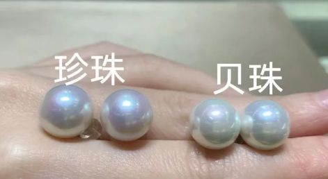 珍珠、贝珠傻傻分不清？如何区分看这里！｜上海市消保委现代农业办(图2)