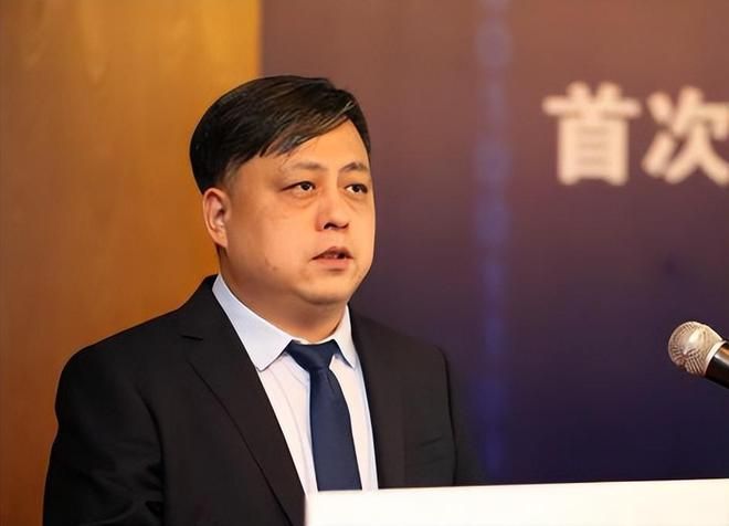 深圳手机巨头冲刺港交所！年入687亿销量全球第三(图14)