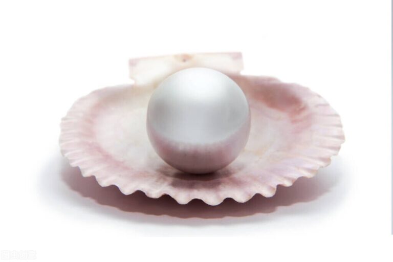 近500亿元长三角创业投资引导基金启动落地上海浦东(图1)