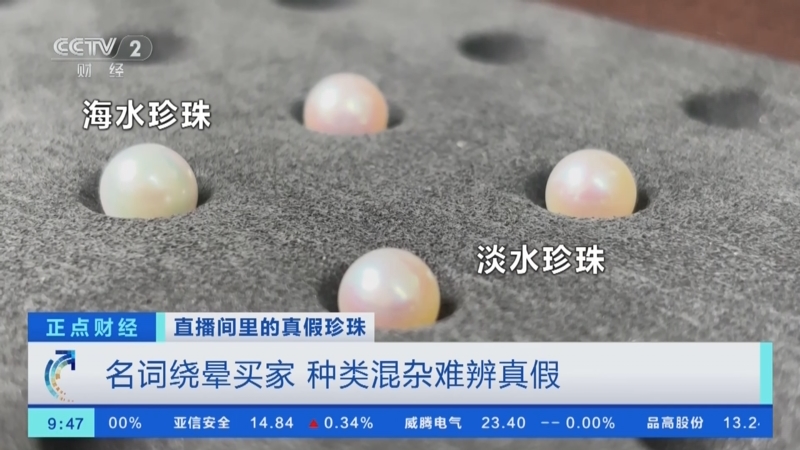 珍珠蚌养殖污染河道 督查组约谈相关负责人(图1)