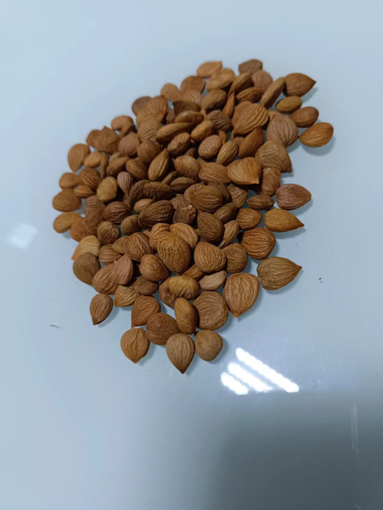 马鞍山花山区书写打造长三角“白菜心”的时代篇章(图1)