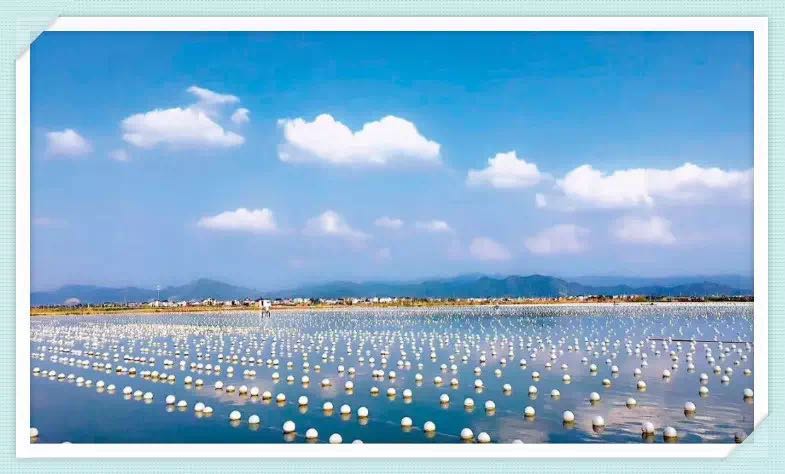 赣江观澜：鄱阳湖畔“水上春耕”如何绘就生态富民新图景？(图1)