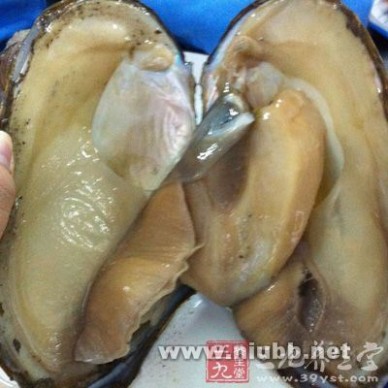 珍珠有核无核哪个更值得买(图1)