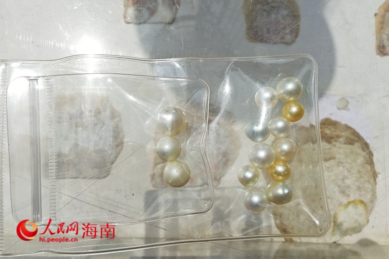 核电与生态共融培育珍珠 海南创新“核能+生态”发展模式(图1)