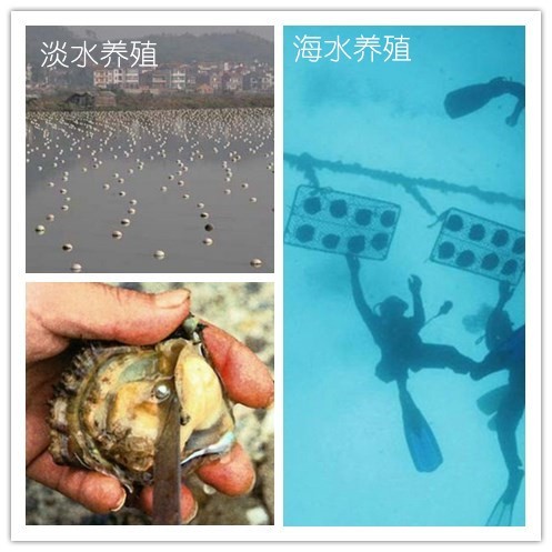 不要把农业文化遗产“冷冻式保存”(图1)
