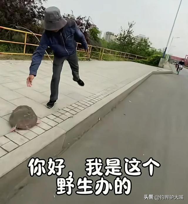 老套路又来了！山东一大叔街头卖“野生”大老鳖被小伙当场揭穿(图1)