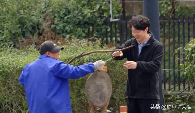 老套路又来了！山东一大叔街头卖“野生”大老鳖被小伙当场揭穿(图8)