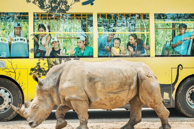 东南亚海岛千篇一律？免签直飞的富国岛竟藏着这么多惊喜玩法！(图36)