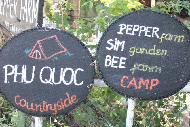 东南亚海岛千篇一律？免签直飞的富国岛竟藏着这么多惊喜玩法！(图54)