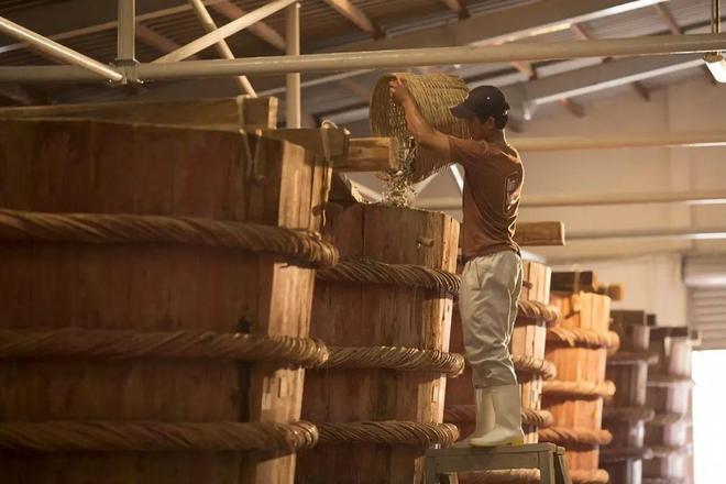 东南亚海岛千篇一律？免签直飞的富国岛竟藏着这么多惊喜玩法！(图58)