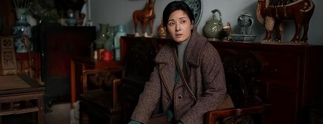 出道20年不温不火45岁看着像25如今再次搭档辛柏青终于火了(图4)