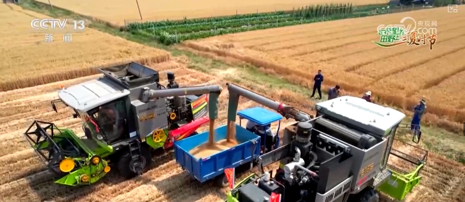 农业“大脑”护航“三夏”跑出加速度 紧盯产粮目标端牢中国人自己饭碗(图15)