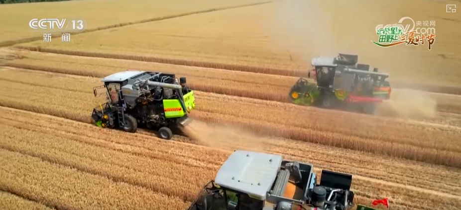 农业“大脑”护航“三夏”跑出加速度 紧盯产粮目标端牢中国人自己饭碗(图16)