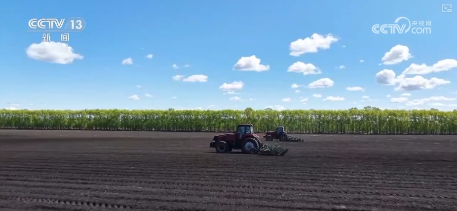 农业“大脑”护航“三夏”跑出加速度 紧盯产粮目标端牢中国人自己饭碗(图1)