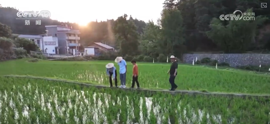 农业“大脑”护航“三夏”跑出加速度 紧盯产粮目标端牢中国人自己饭碗(图5)