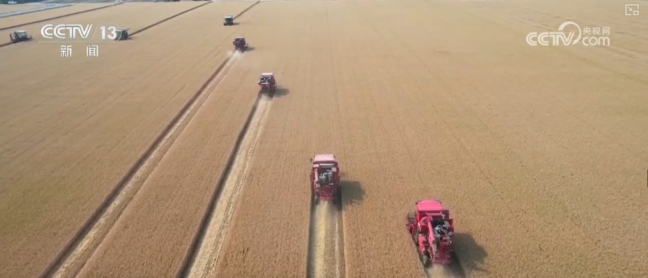 农业“大脑”护航“三夏”跑出加速度 紧盯产粮目标端牢中国人自己饭碗(图8)