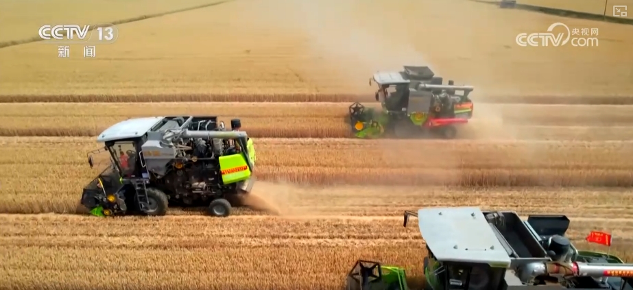 农业“大脑”护航“三夏”跑出加速度 紧盯产粮目标端牢中国人自己饭碗(图13)