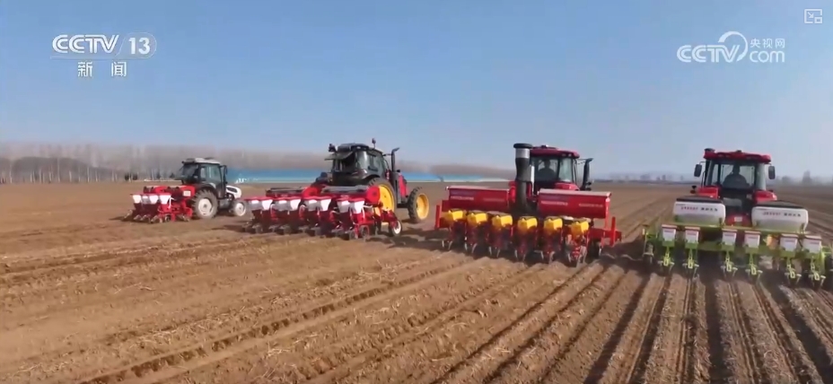 农业“大脑”护航“三夏”跑出加速度 紧盯产粮目标端牢中国人自己饭碗(图10)