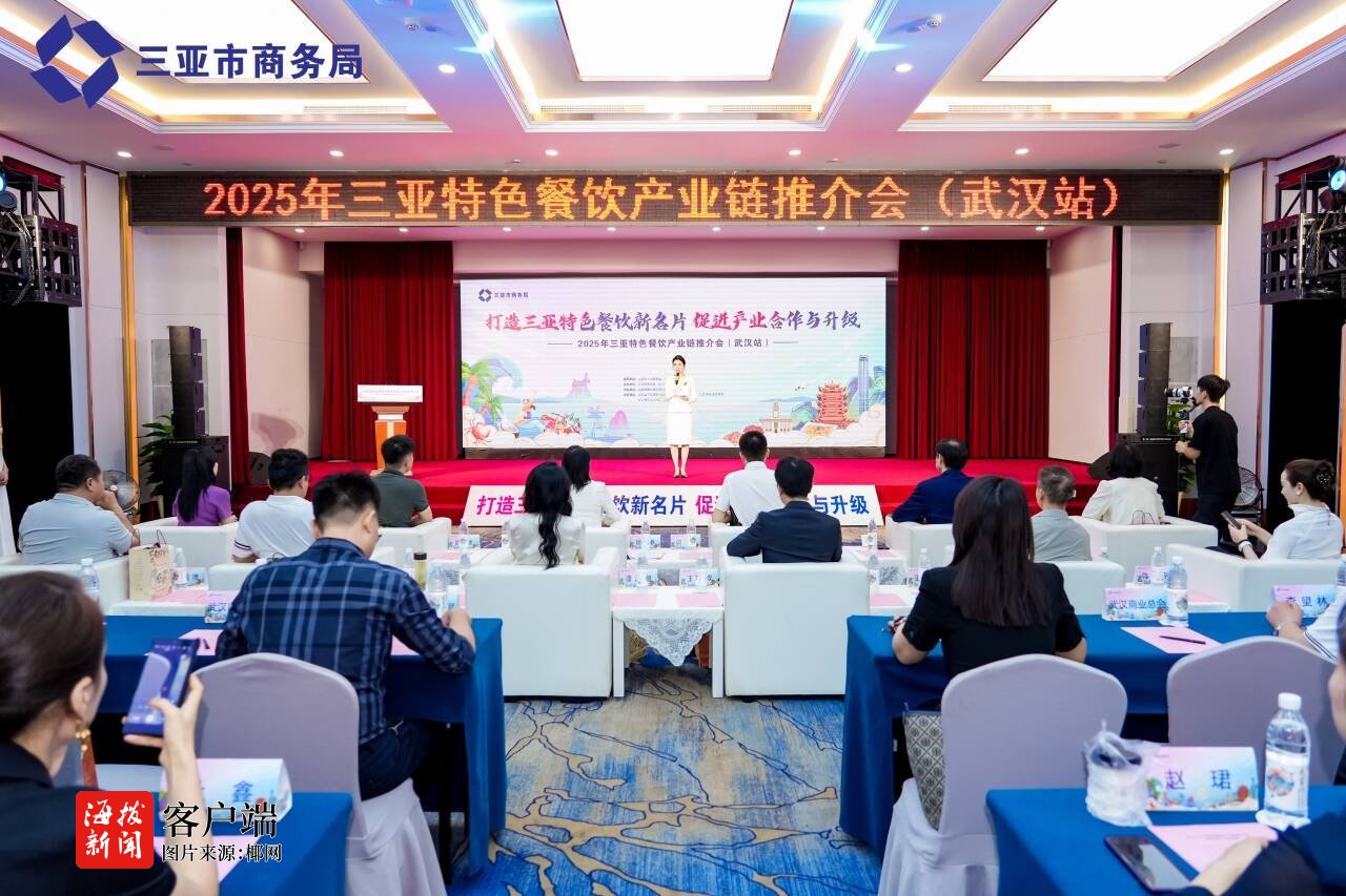 2025年三亚特色餐饮产业链全国推介会（武汉站）举办(图1)