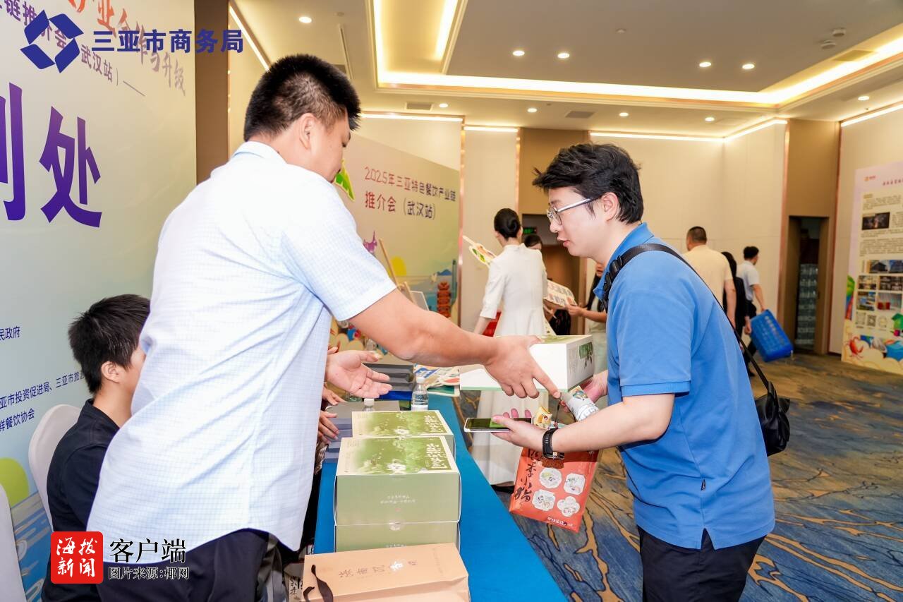 2025年三亚特色餐饮产业链全国推介会（武汉站）举办(图3)