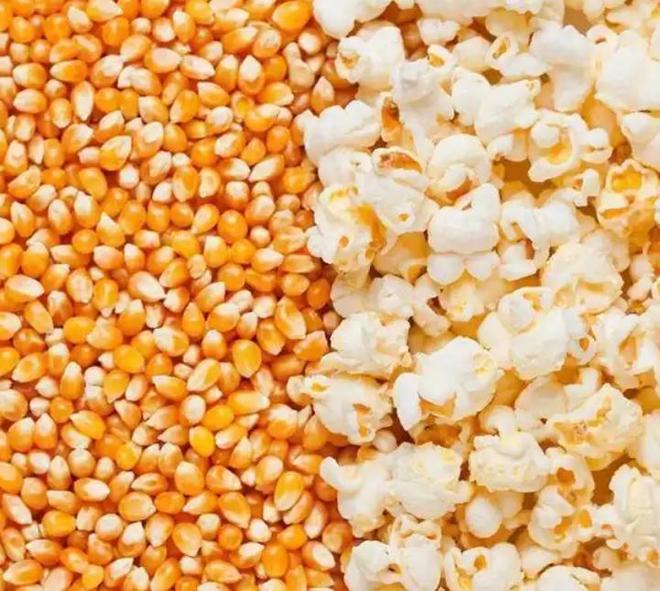 差点失传的“种子芯片”！专家偶然发现老人为哄孩子种了几十年(图19)