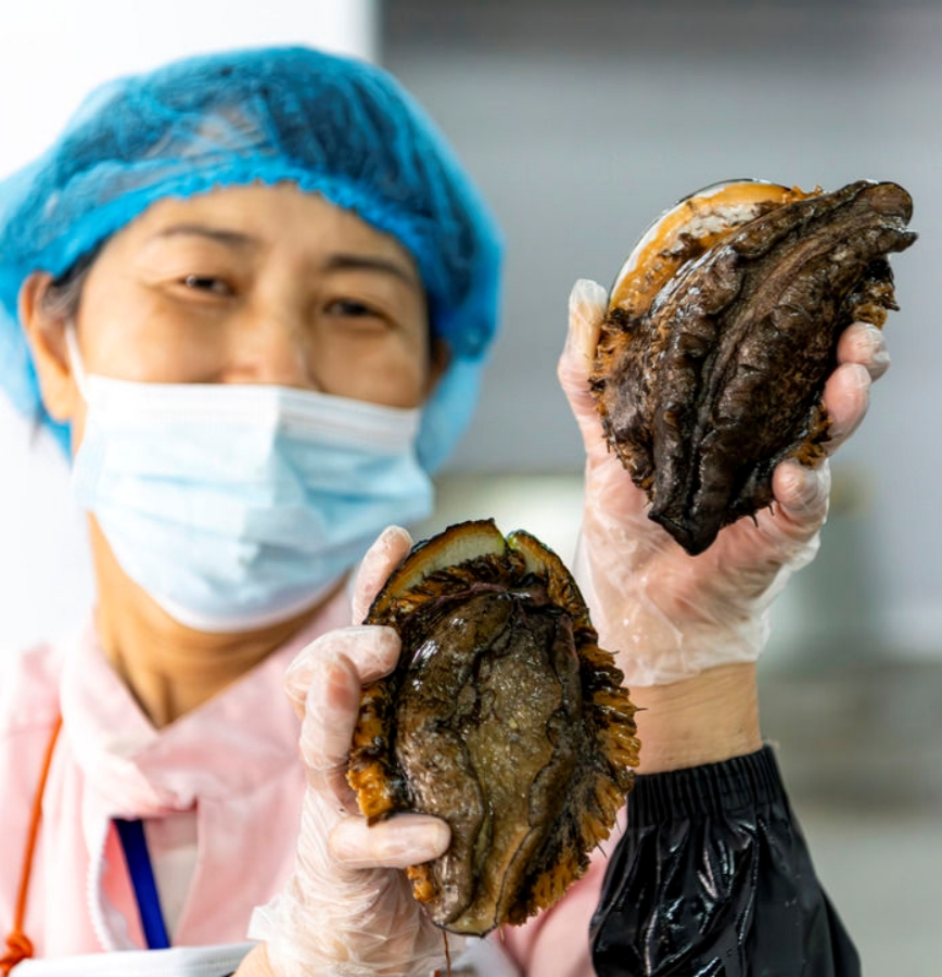 精耕深蓝加快建设海洋强国——“中国经济圆桌会”聚焦海洋经济高质量发展(图11)