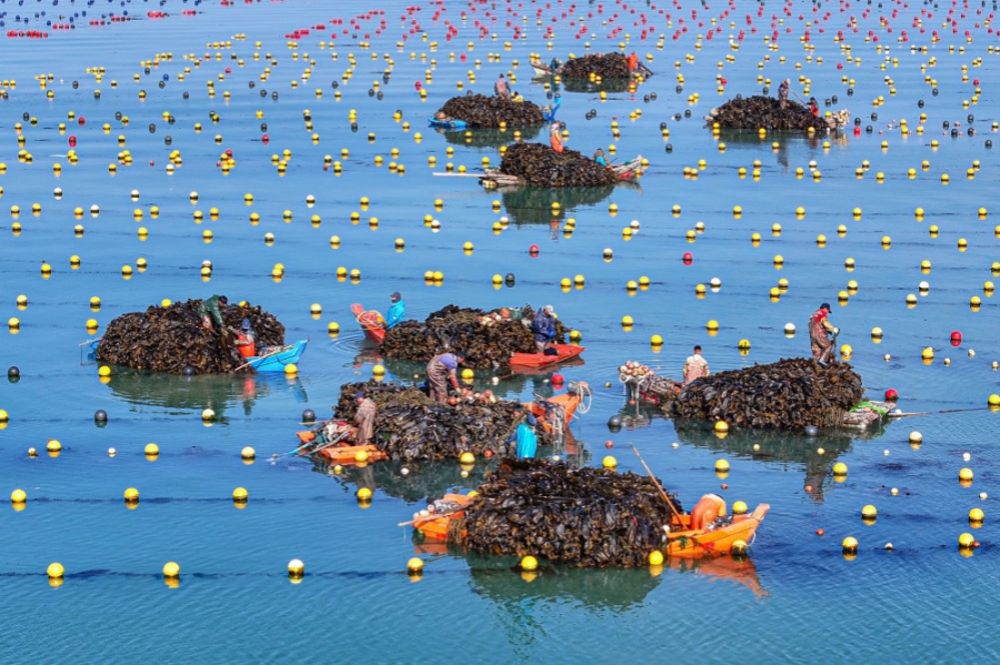 精耕深蓝加快建设海洋强国——“中国经济圆桌会”聚焦海洋经济高质量发展(图12)