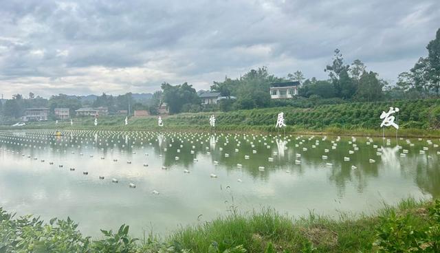 四川开江打造西部珍珠产业标杆 “中国西珠”品牌正式亮相(图2)