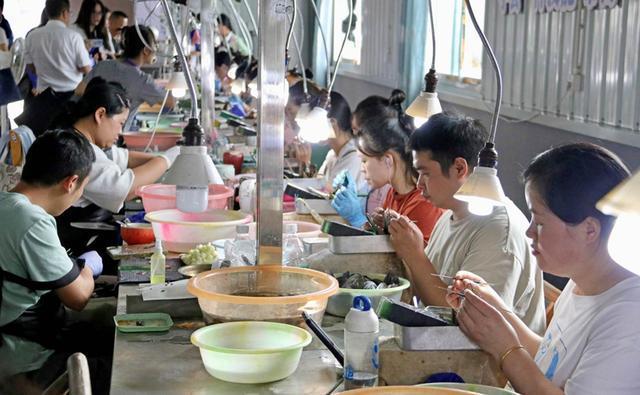 四川开江打造西部珍珠产业标杆 “中国西珠”品牌正式亮相(图4)