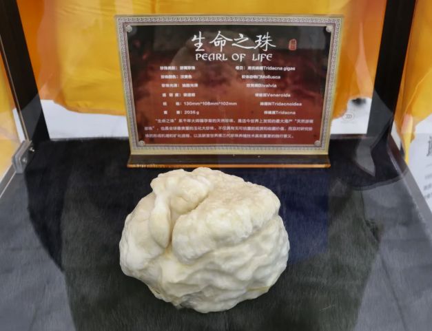 17万亩珍珠养殖撬动百亿产业开江打造四川特色产业新引擎(图4)