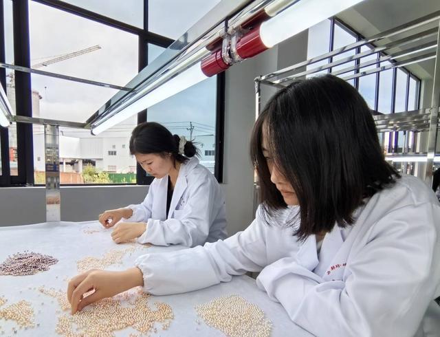 一颗小珍珠将串起百亿大产业 首届西部珍珠产业发展大会在四川开江举行(图5)