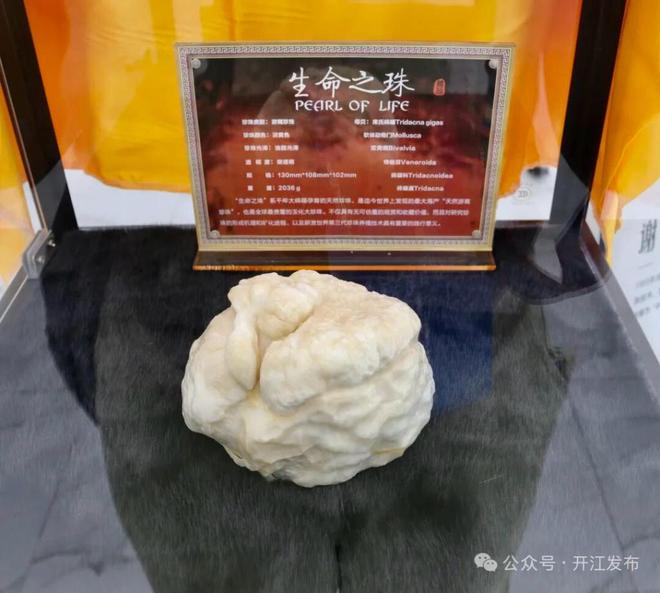 扛起西部珍珠产业发展大旗四川开江剑指百亿级产业目标(图5)