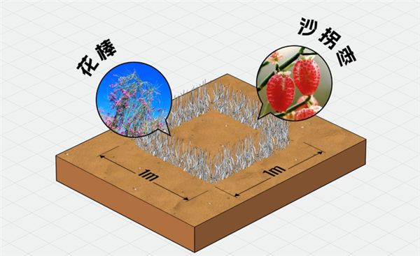 中国治沙47年 竟然不是为了消灭沙漠(图14)