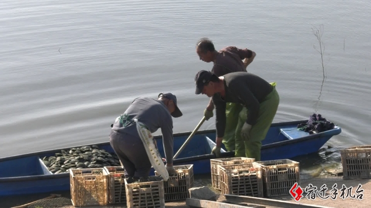 重磅国谈利好：医院国谈药品管理中国专家共识（意见稿）放开数量、占比、一品双规限制(图1)