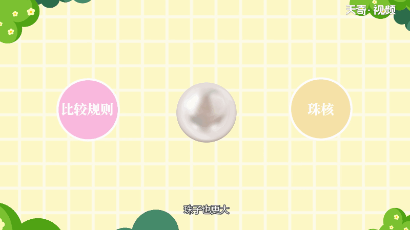 珍珠有核和无核的区别 珍珠有核和无核的差别(图2)