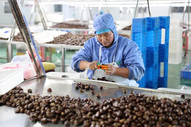 秦皇岛：在旅游城市中建设美丽田园(图5)