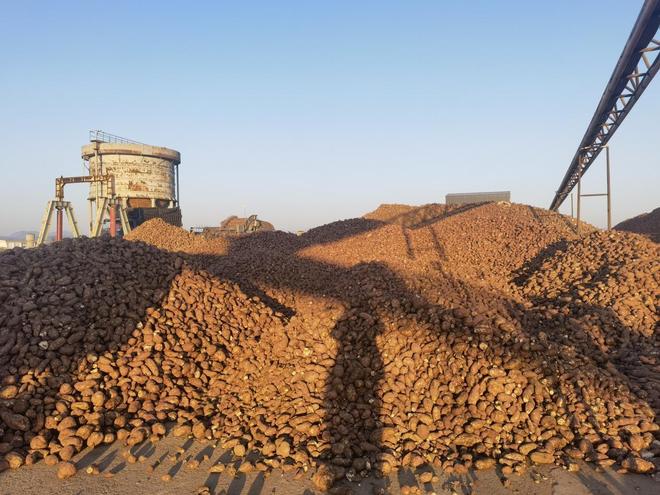 秦皇岛：在旅游城市中建设美丽田园(图6)