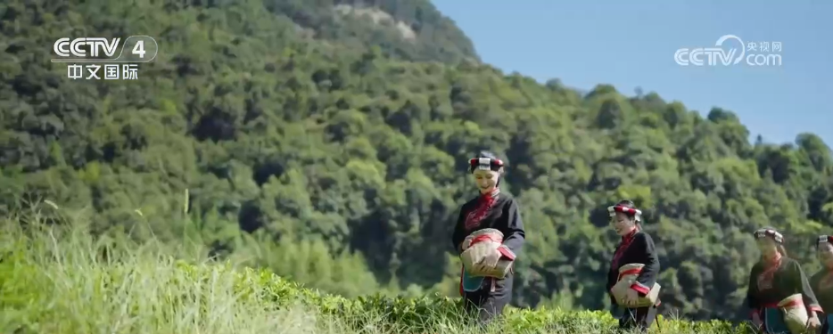 不同地域、独具特色、历史悠久 中国6项全球重要农业文化遗产获授牌(图8)