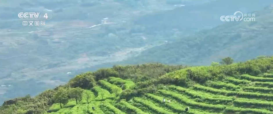 不同地域、独具特色、历史悠久 中国6项全球重要农业文化遗产获授牌(图10)