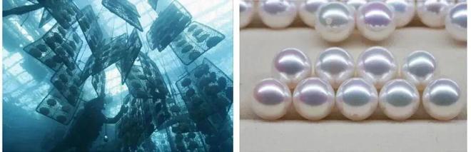 秋冬穿毛衣别忘这一步！珍珠毛衣链让普通穿搭“显贵”3倍(图6)